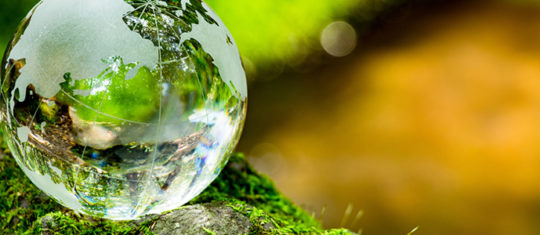 Formation en environnement et développement durable