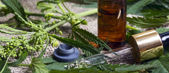 CBD