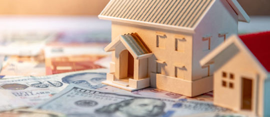 Immobilier Alpes-Maritimes