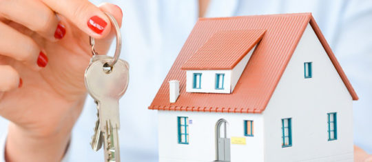 immobilier neuf
