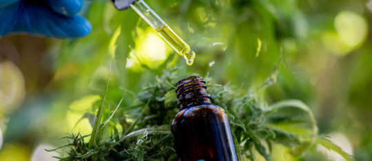 CBD de haute qualité