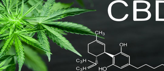 Produits de CBD