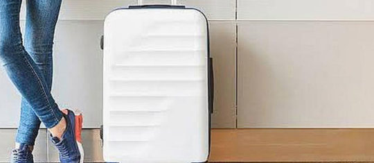 valise