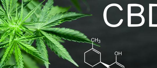 CBD