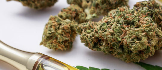 Fleur de CBD