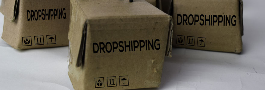 grossiste dropshipping