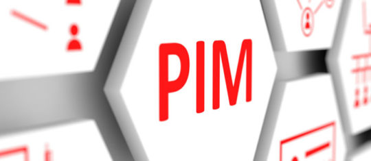 Projet PIM