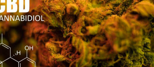 CBD