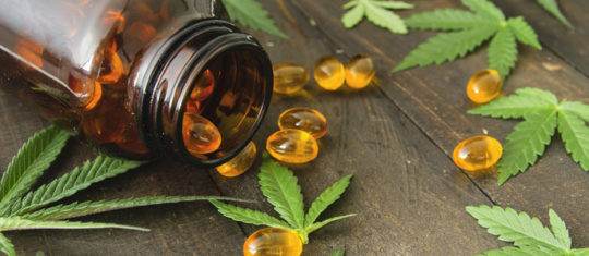 Consommation de CBD