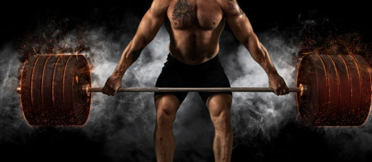 Programme de musculation