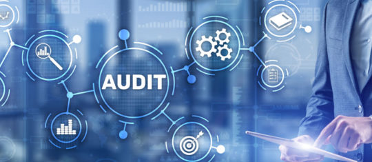 audit organisationnel