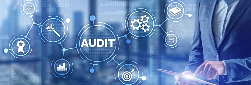audit organisationnel