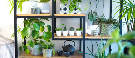 Aménagement de jardin