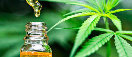 E-liquide CBD