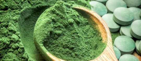 Spiruline