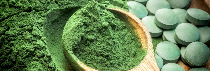 Spiruline