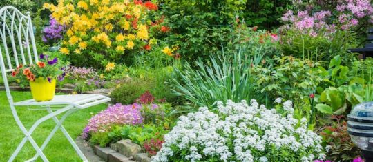 Biodiversité du jardin