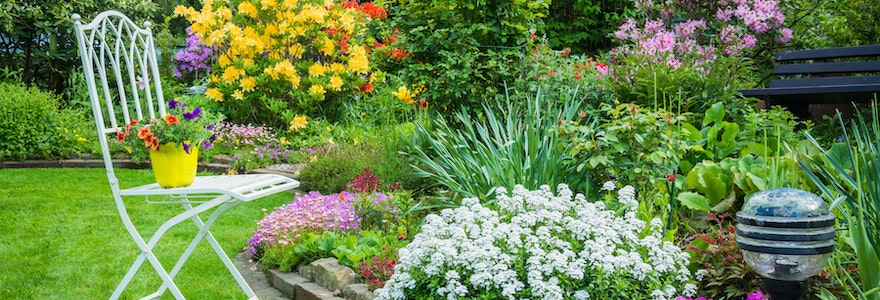 Biodiversité du jardin