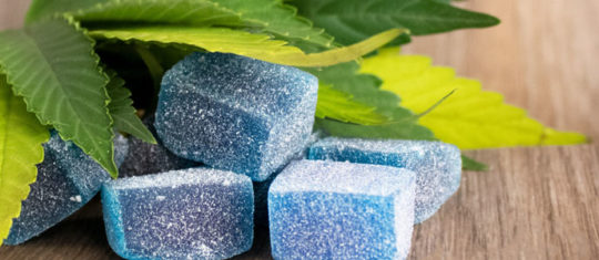 cbd gummies