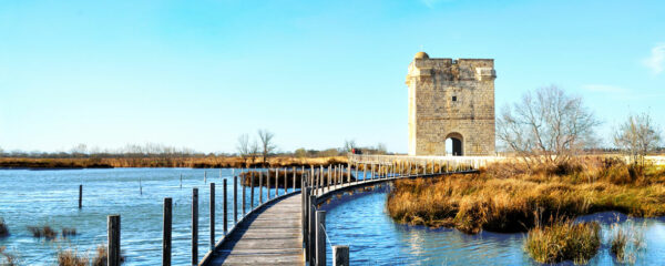 campings en Camargue