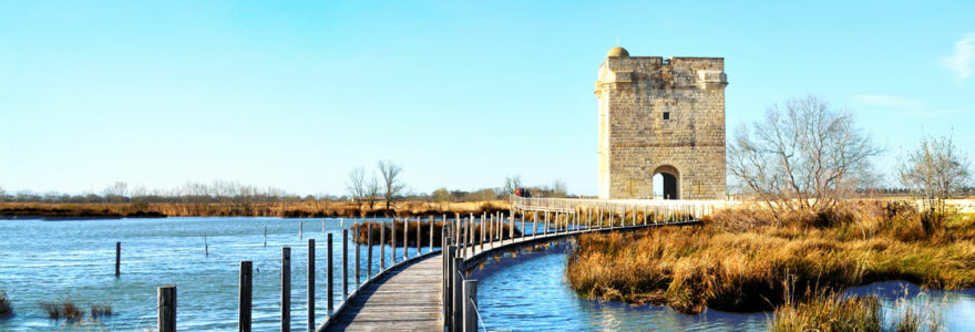 campings en Camargue